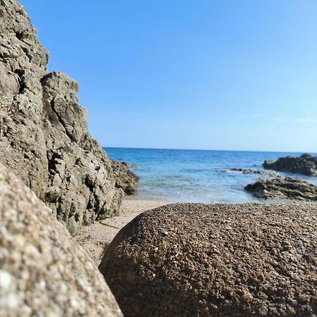 Le 3 Appartement Vue Mer Avec Jardin 100M De La Plage Et De La Thalasso Concarneau Luaran gambar