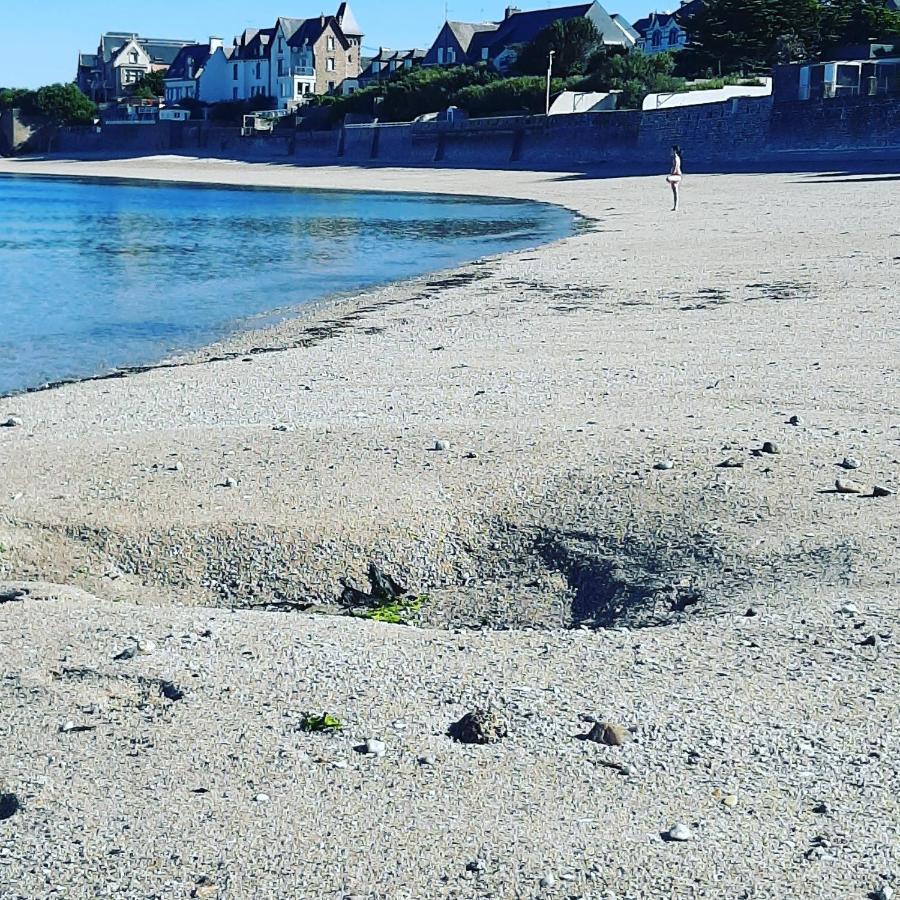 Le 3 Appartement Vue Mer Avec Jardin 100M De La Plage Et De La Thalasso Concarneau Luaran gambar