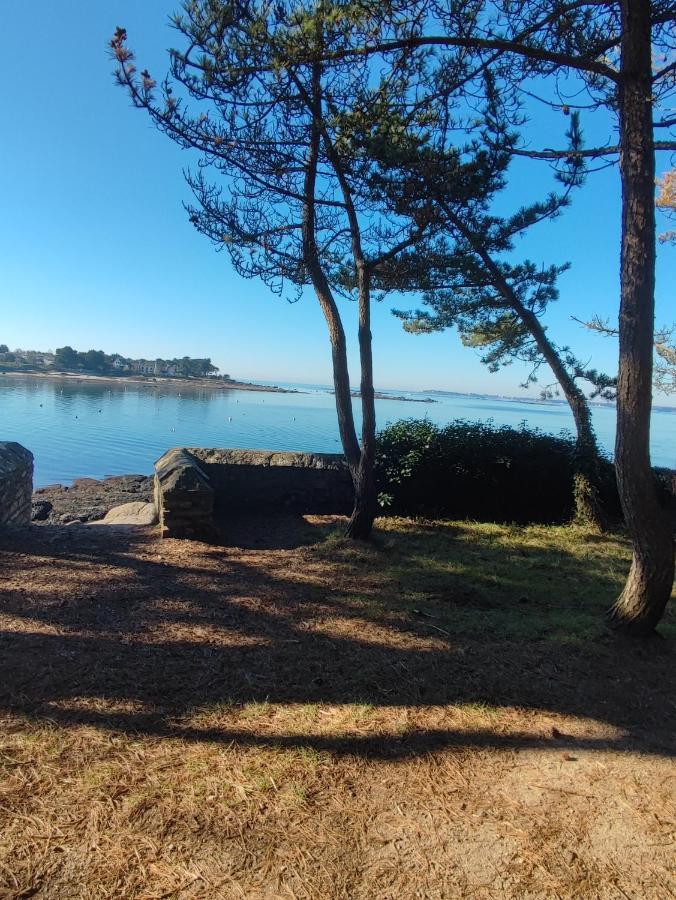 Le 3 Appartement Vue Mer Avec Jardin 100M De La Plage Et De La Thalasso Concarneau Luaran gambar