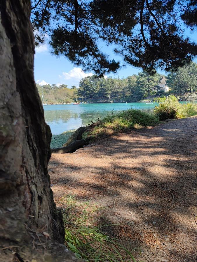 Le 3 Appartement Vue Mer Avec Jardin 100M De La Plage Et De La Thalasso Concarneau Luaran gambar