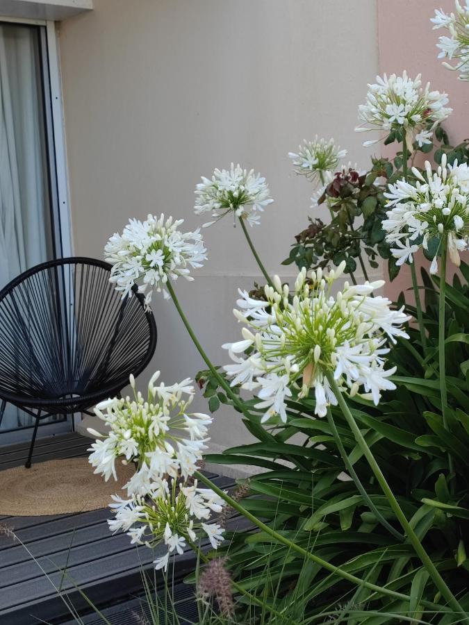 Le 3 Appartement Vue Mer Avec Jardin 100M De La Plage Et De La Thalasso Concarneau Luaran gambar